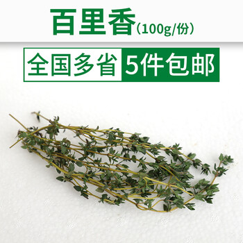 新鲜百里香200g 香菜西餐用香料调料可食用香草 200g