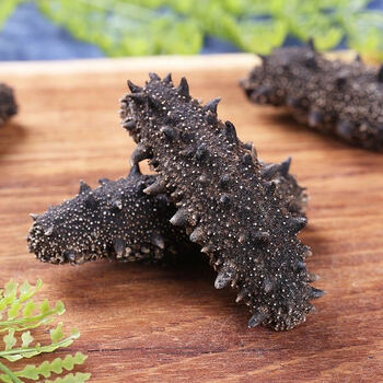 同仁堂授权店铺大连纯淡干海参辽参刺参低播海参干货肉厚粗筋海鲜佛跳