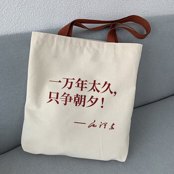 手提新青年帆布包学生帆布袋大容量单肩斜挎收纳包拉链拎包 一万年太久只争朝夕 34*39cm