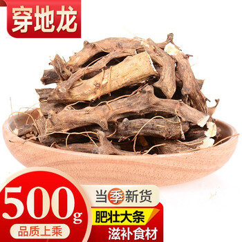 敬贤堂穿山龙串地龙地龙骨串地龙穿地龙500g
