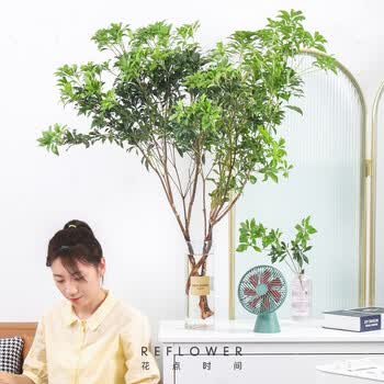 花点时间鲜切马醉木吊钟南天竹切枝室内绿植盆栽吸甲醛植物网红绿植马醉木1枝损坏必赔 图片价格品牌报价 京东