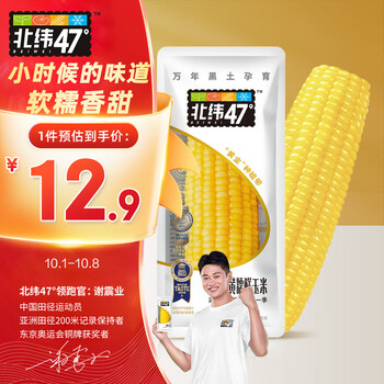 北纬47° 黄糯鲜玉米200g*1穗 低脂玉米棒糯玉米东北玉米粘玉米