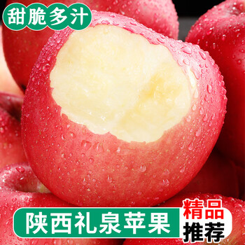 鲜福林陕西礼泉红富士苹果 当季新鲜水果 大果10斤 （约18个）