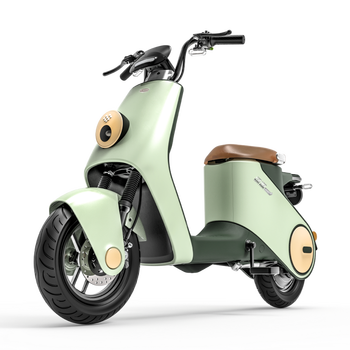 电动自行车品牌(电动自行车电动自行车品牌推荐)