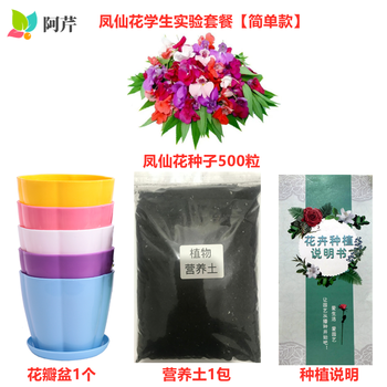 凤仙花种子籽学生实验套装指甲花种孑阳台庭院盆栽易种活草花籽阿芹凤仙花学生实验套餐 简单款 图片价格品牌报价 京东