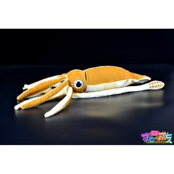 大王乌贼玩具shasha乌贼公仔仿真大王乌贼毛绒玩具仿真海洋动物鱿鱼
