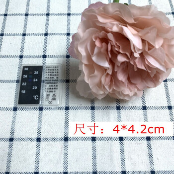 液晶变色温度计变色贴纸鱼缸温度贴室内温度计服装温度计样式7 18 30 C 图片价格品牌报价 京东