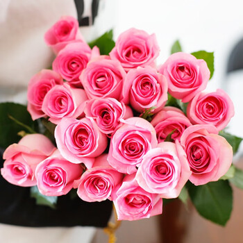 苏醒/糖果玫瑰(16支 4支防损耗)