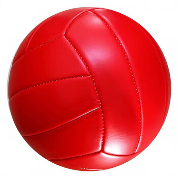 圣迪兰 签名画画纯白色5号软排球学生体能训练中考排球 纯红排球【图