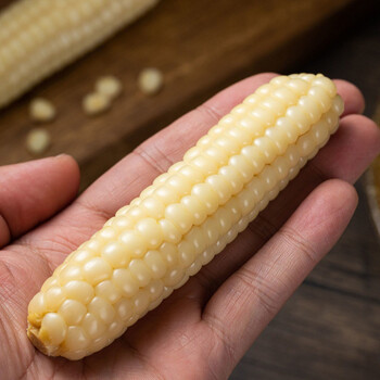 辅食 云南西双版纳甜糯小玉米迷你手指拇指玉米500g 1kg