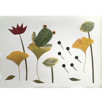 树叶粘贴画 幼儿园小学生手工课粘贴画活动真树叶标本儿童创意塑封