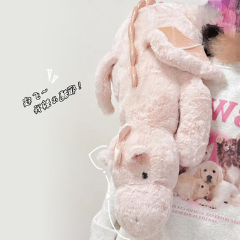 帝道恐龙玩偶小飞龙毛绒玩具公仔大号布娃娃睡觉抱枕结婚礼物送新人新婚纪念生礼物女生送女友老婆闺蜜实用送男生男友儿童创意惊喜粉色