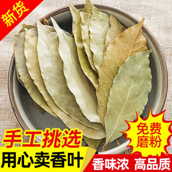 香叶月桂叶卤料香料调料家用散装可粉料精选香叶三斤