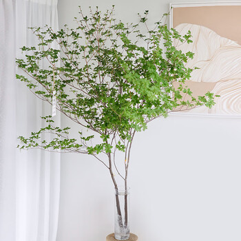 日本吊钟鲜切枝进口绿植物森林鲜花直批顺丰家用情人节室内落地款