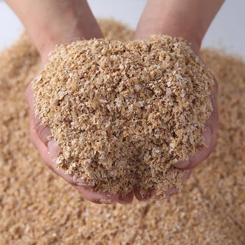 农家现磨新鲜小麦麸麸皮鸡虫吃粗麦麸细麦麸饲料钓鱼麦麸5斤50斤麦麸