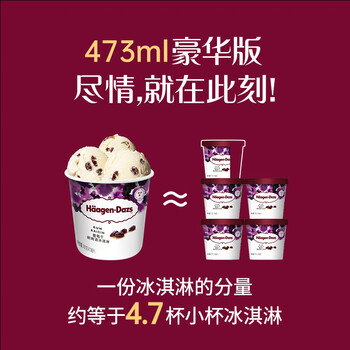 哈根达斯 Häagen·Dazs 葡萄朗姆酒冰淇淋 473ml