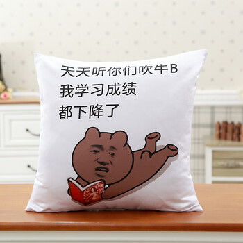 创意个性可爱抱枕卡通表情包搞怪枕头定制送男生女生 天天听你们吹牛