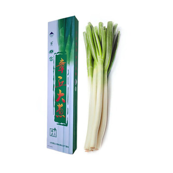 东方玘缘京地达正宗章丘大葱 精品鲜叶5斤中秋礼盒  新鲜蔬菜产地直发特产