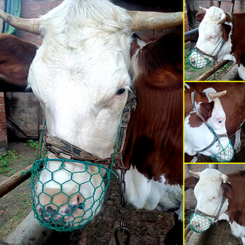 牛嘴笼罩马嘴笼套小牛犊断奶笼牛马防咬防偷吃神器牛兜嘴牛箍嘴套 款