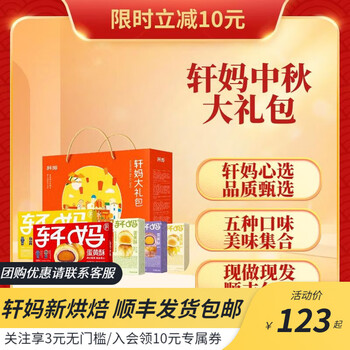 轩妈 蛋黄酥大礼包A990g中秋月饼节日送礼礼盒糕点心休闲零食精致糕点 轩妈中秋大礼包990g