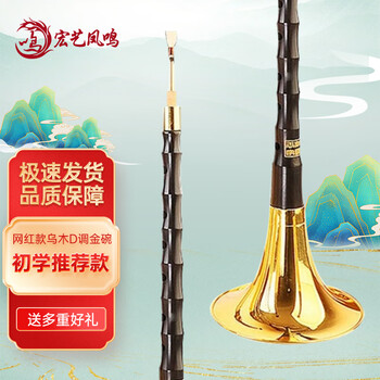 宏艺凤鸣（HongYiFengMing）网红乌木D调金碗唢呐乐器 全套初学者民族喇叭唢呐考级演奏