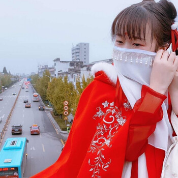 汉服面纱汉服面纱古风镶珠遮面帘宋制舞蹈拍照蒙面纱少女孩古装配饰遮