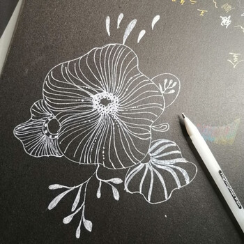 黑卡纸白色的笔绘画高光笔美术勾线笔金色银色白色书法练字笔f hc白色