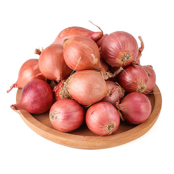 新鲜很香广东红葱头珠葱小葱头干葱头熬葱油1000g