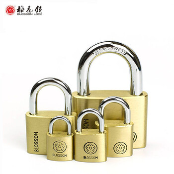 怎么查一款机械锁历史价格|机械锁价格历史