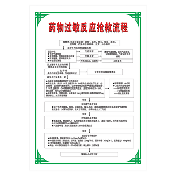 医院宣传画制度急救程序挂图药物过敏反应抢救流程图示意图wsb169 wsb