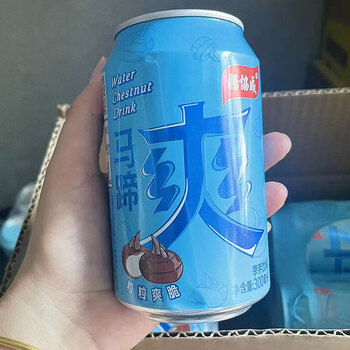 杨协成【新日期】风味果汁马蹄爽300.
