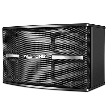 威斯汀(westding)101家庭ktv音响套装会议室卡拉ok大功率功放组合三