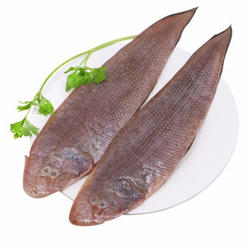 顺丰发货龙利鱼新鲜冷冻舌头鱼鲜活新鲜海鲜鲜活海鲜一斤2条四斤