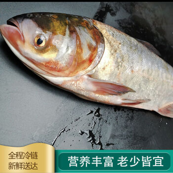 白鲢鱼营养成分表图片
