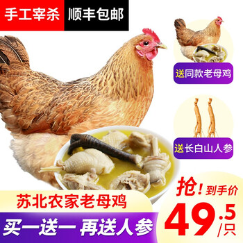 买一只送一只 美乡土鸡2年老母鸡1kg 现杀整鸡肉生鲜 图片价格品牌报价 京东