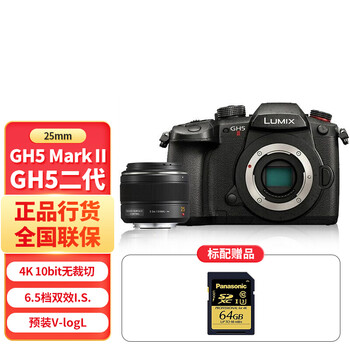 松下（panasonic） GH5M2/GH5二代微单单电无反数码相机C4K 60PV-LogL预装 GH5M2+【25mm/F1.4镜头】 官方标配