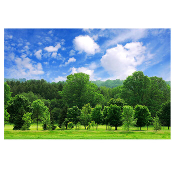 奈露 蓝天白云草地树林森林大草原墙贴壁画贴纸自粘背景风景画绿色