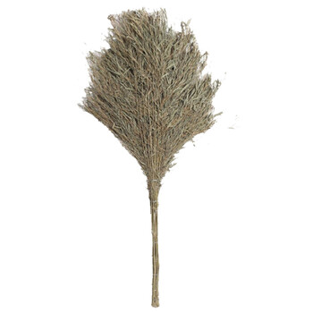 巨成 大号竹扫帚 大竹扫把 一把价 hjdz