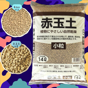赤玉土大包装多肉植物植物颗粒土铺面石赤玉土1 3mm3斤 图片价格品牌报价 京东 赤玉土大包装多肉植物植物颗粒土铺面石赤玉土1 3mm3斤 图片价格品牌报价 京东