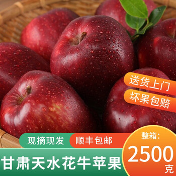 之味珍选甘肃天水花牛苹果5斤中果 单果70-75mm 新鲜当季生鲜水果蛇果