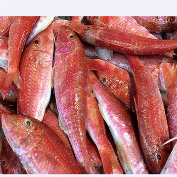 潮州海鲜网站建设公司_(潮州海鲜网站建设公司有哪些)