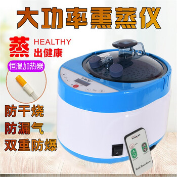 水迪蒸汽熏蒸机家用汗蒸机煮药熏蒸仪多功能桑拿机大容量药熏机蒸汽机头疗机全身发汗脚部汗蒸锅 4升触摸屏2000W+药盒+导管+接头+遥控+恒温