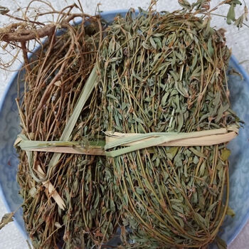 青草三叶人字草苍蝇翅鸡眼草三叶草老鸦许铺地锦500g一斤