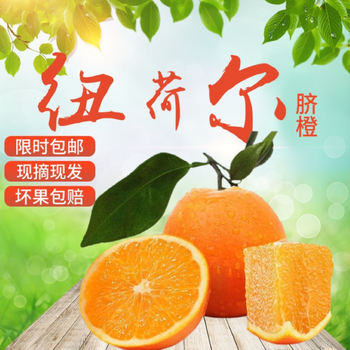 遇见悯农湖北纽荷尔脐橙赣南脐橙新鲜橙子当季水果手剥冰糖甜橙产地直发 纽荷尔脐橙（高山脐橙） 优选带箱9斤装（70-80mm）