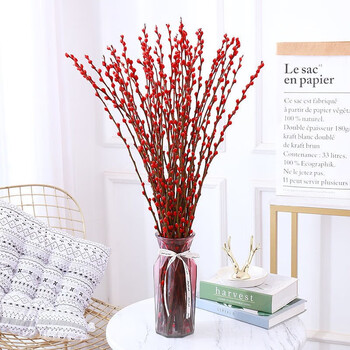 雪柳鲜枝遇水开花耐寒鲜花室内水培花卉干枝水插花客厅阳台观花绿植