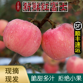 【现摘现发】山西红富士 冰糖心苹果 新鲜当季水果 脆甜丑苹果 5/9斤 优选大果 5斤装