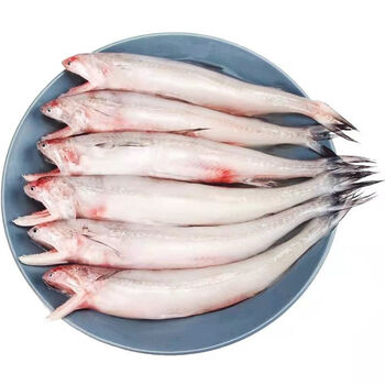 展志曼智龙头鱼新鲜海捕龙头鱼鲜活速冻龙头鱼东海豆腐鱼九肚鱼水潺鱼