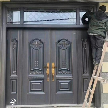 奥菲尔大门农村自建房双开门别墅入户门进户门新款锌合金豪华 款式10