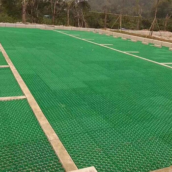 植草格塑料停车场停车位草坪绿化格栅小区护坡草坪格消防车道 500x500