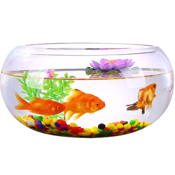 智汇CW10-75鱼缸怎么样？一位用户的使用体验分享